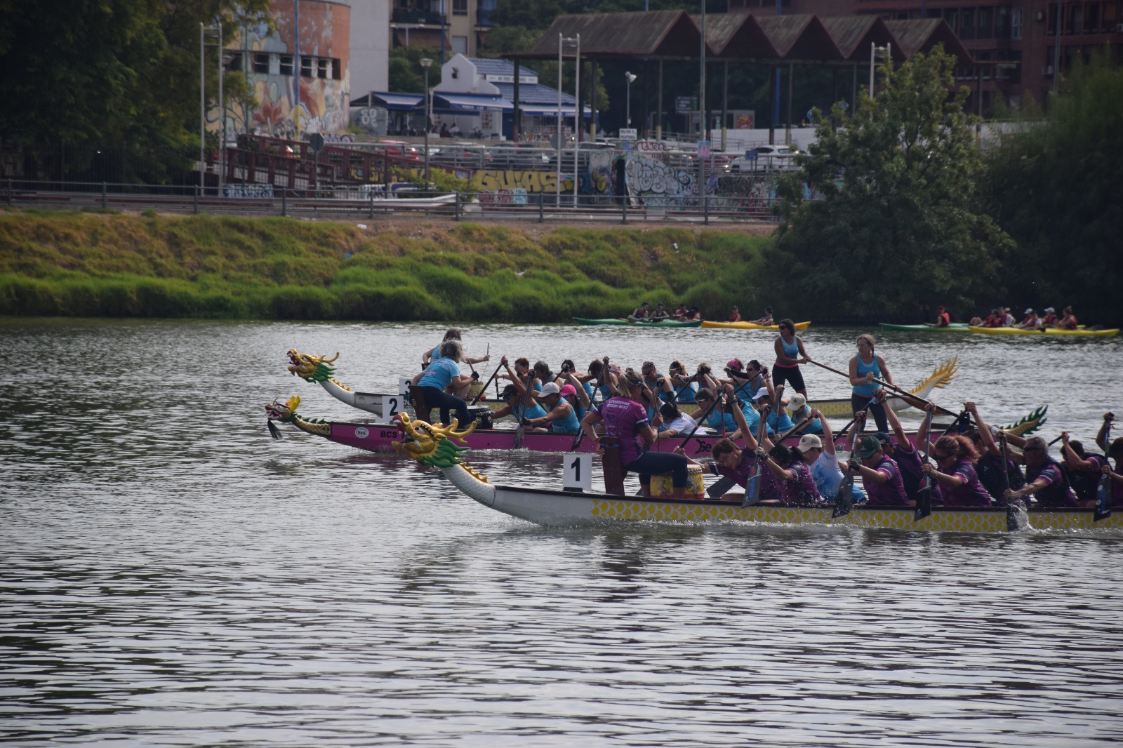 Equipos reman en barcos dragón durante la jornada de las Dragonas de Sevilla